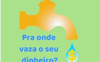 PARA ONDE VAZA O SEU DINHEIRO